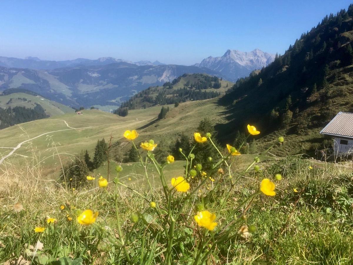 Hotel Metzgerwirt Kirchberg in Tirol Dış mekan fotoğraf